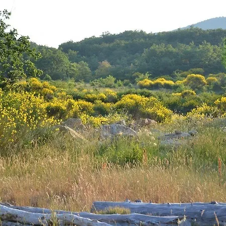 La Deviniere Donzère
