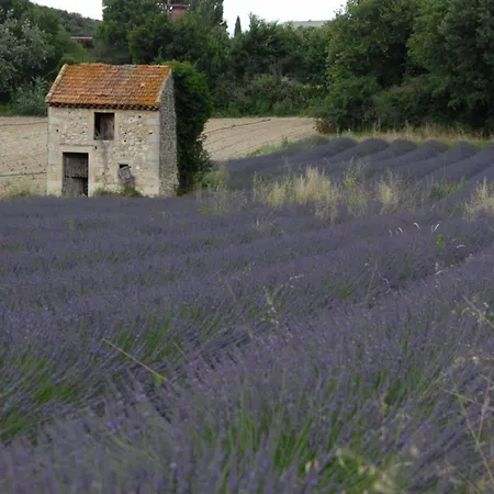 La Devinière 3*