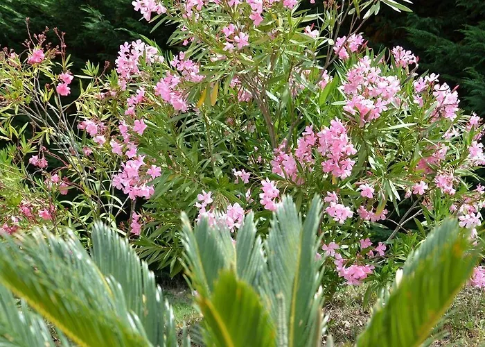 Gasthof La Deviniere