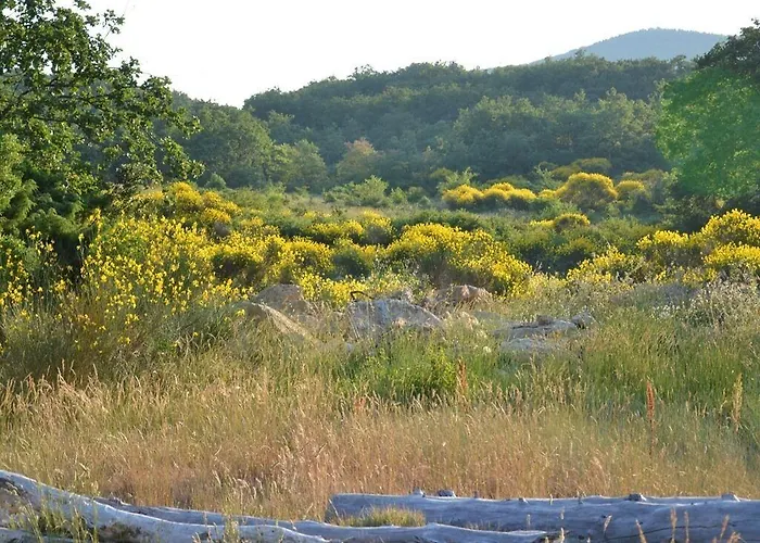 La Deviniere Donzère